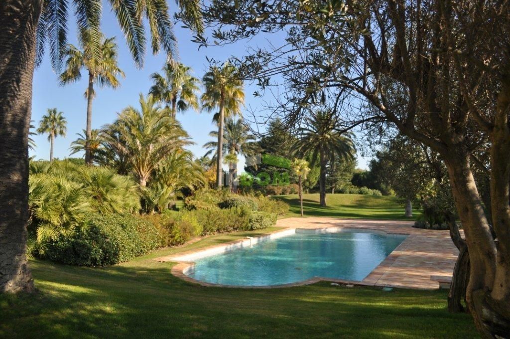 Villa Lazurnyj bereg, Frankreich - Foto 3