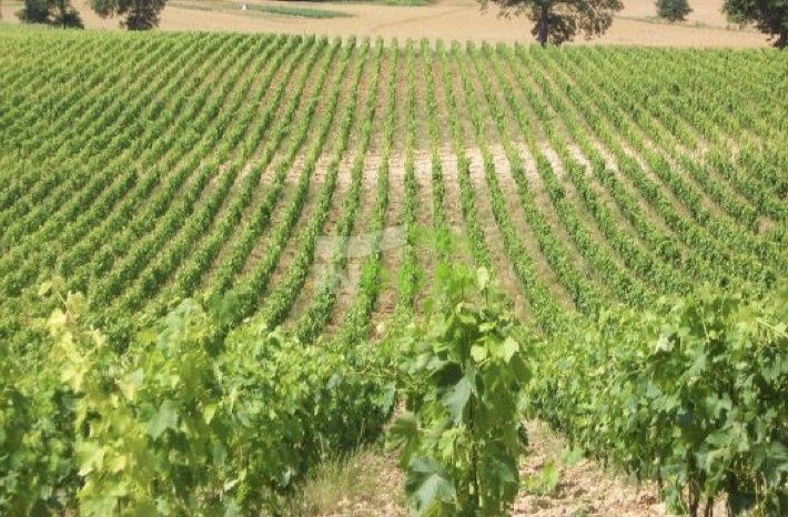 Biens commerciaux Toskana, Italie, 1 350 m² - image 3