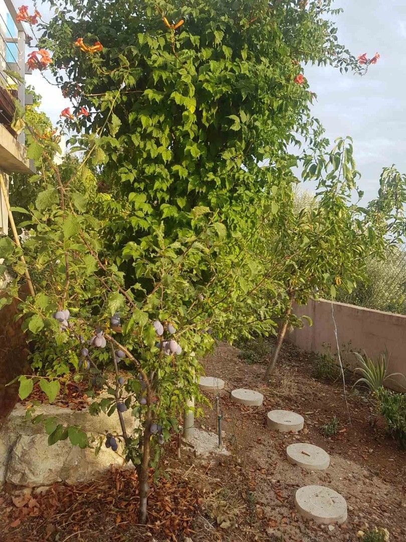 Casa en Sutomore, Montenegro, 122 m² - imagen 8