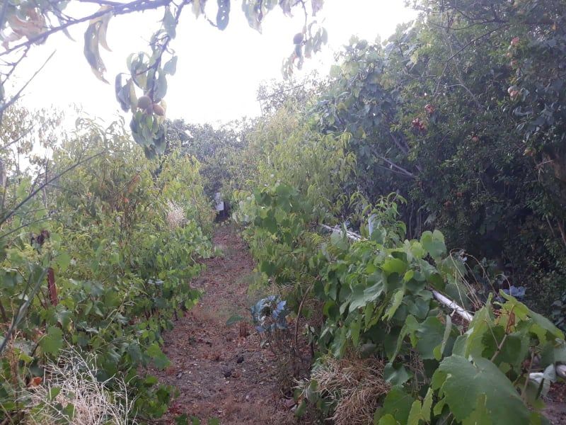 House in Bar, Montenegro, 121 m² - picture 8