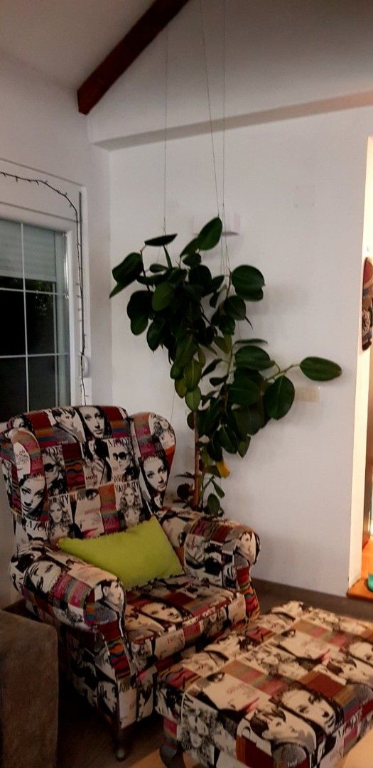 Haus in Zelenika, Montenegro, 76 m² - Foto 2