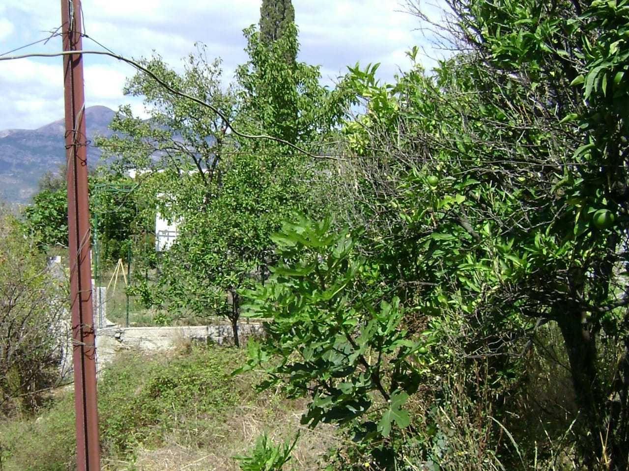 Land in Bar, Montenegro, 2 620 m² - picture 3