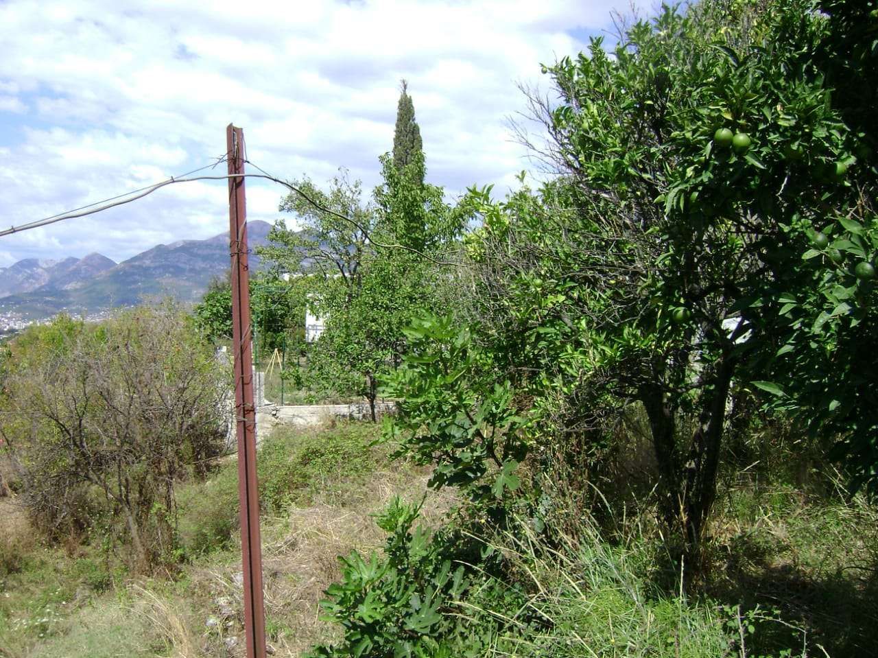 Land in Bar, Montenegro, 2 620 m² - picture 4