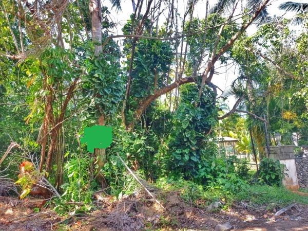 Grundstück in Cabarete, Dominikanische Republik, 947 m² - Foto 3