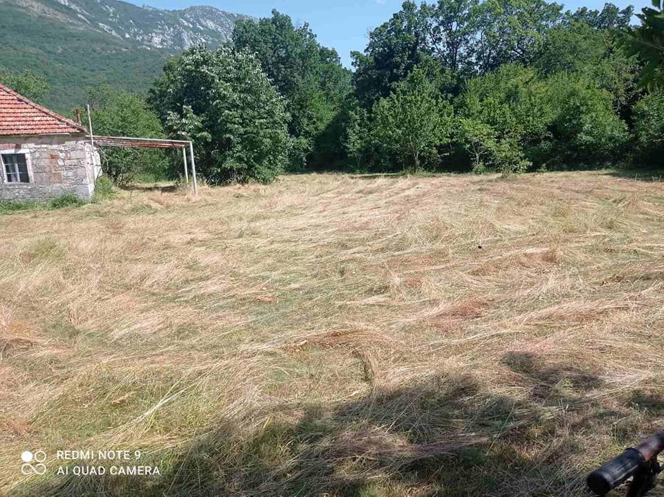 Haus in Risan, Montenegro, 65 m² - Foto 9