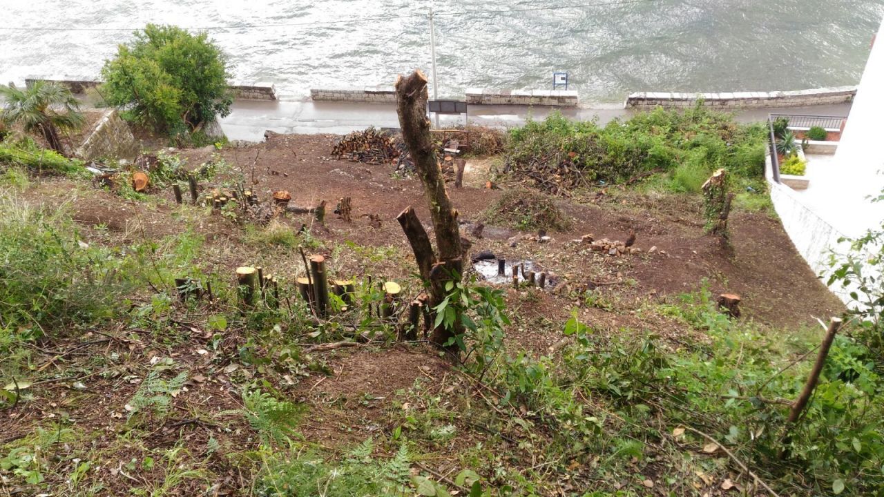 Land in Stoliv, Montenegro, 2 062 m² - picture 5