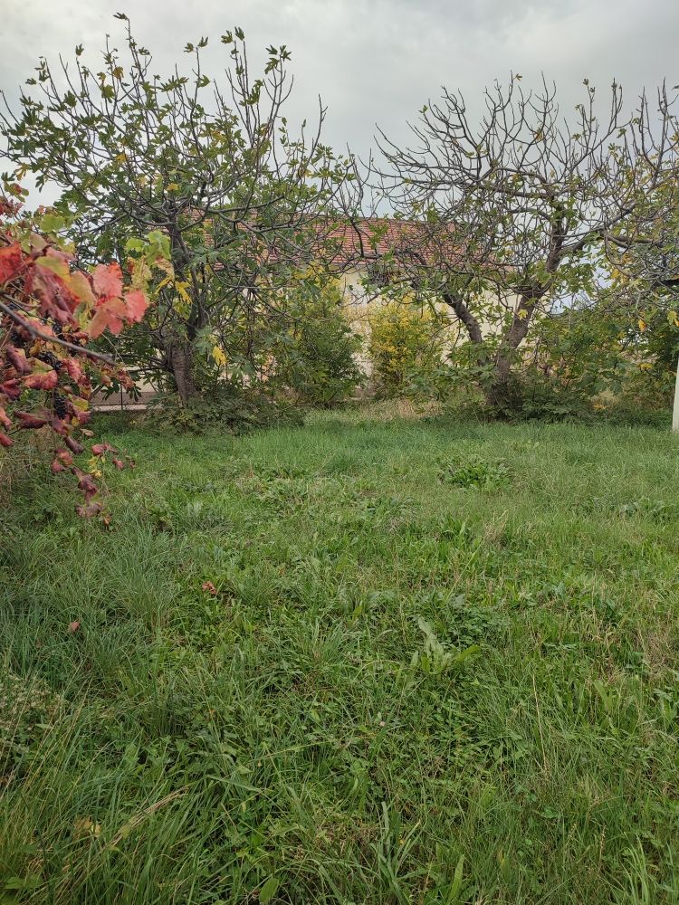 Investment project in Bar, Montenegro, 1 975 m² - picture 11