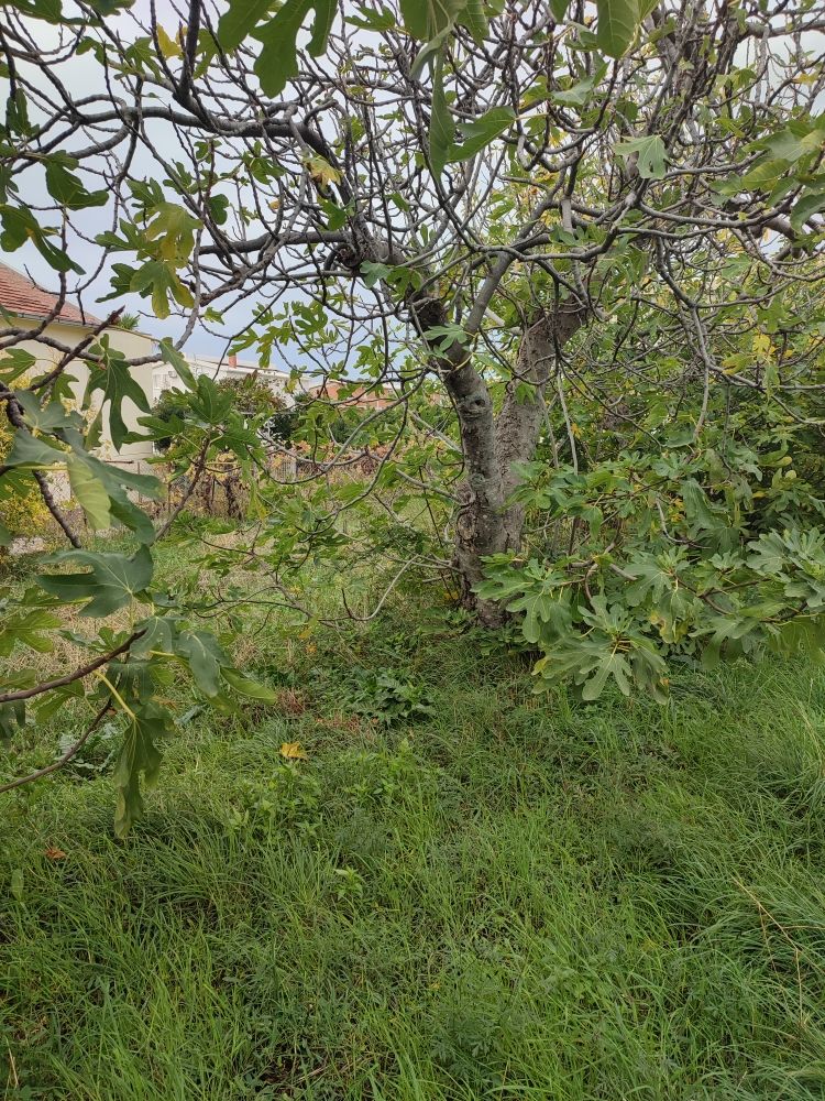 Investment project in Bar, Montenegro, 1 975 m² - picture 10