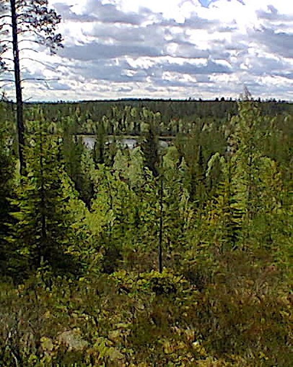 Terreno en Kuhmo, Finlandia, 1 ha - imagen 9