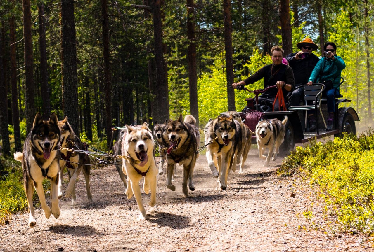 Terreno en Ruka, Finlandia, 3 974 m² - imagen 13