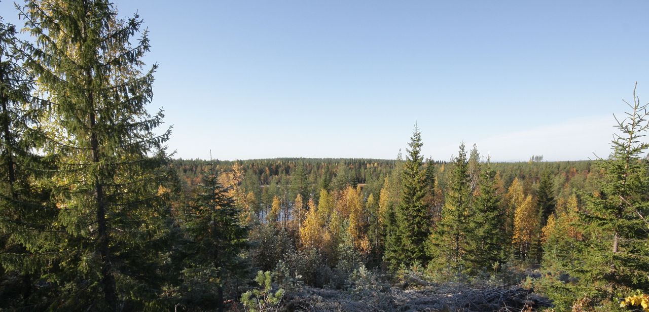 Terreno en Kuhmo, Finlandia, 1 ha - imagen 12