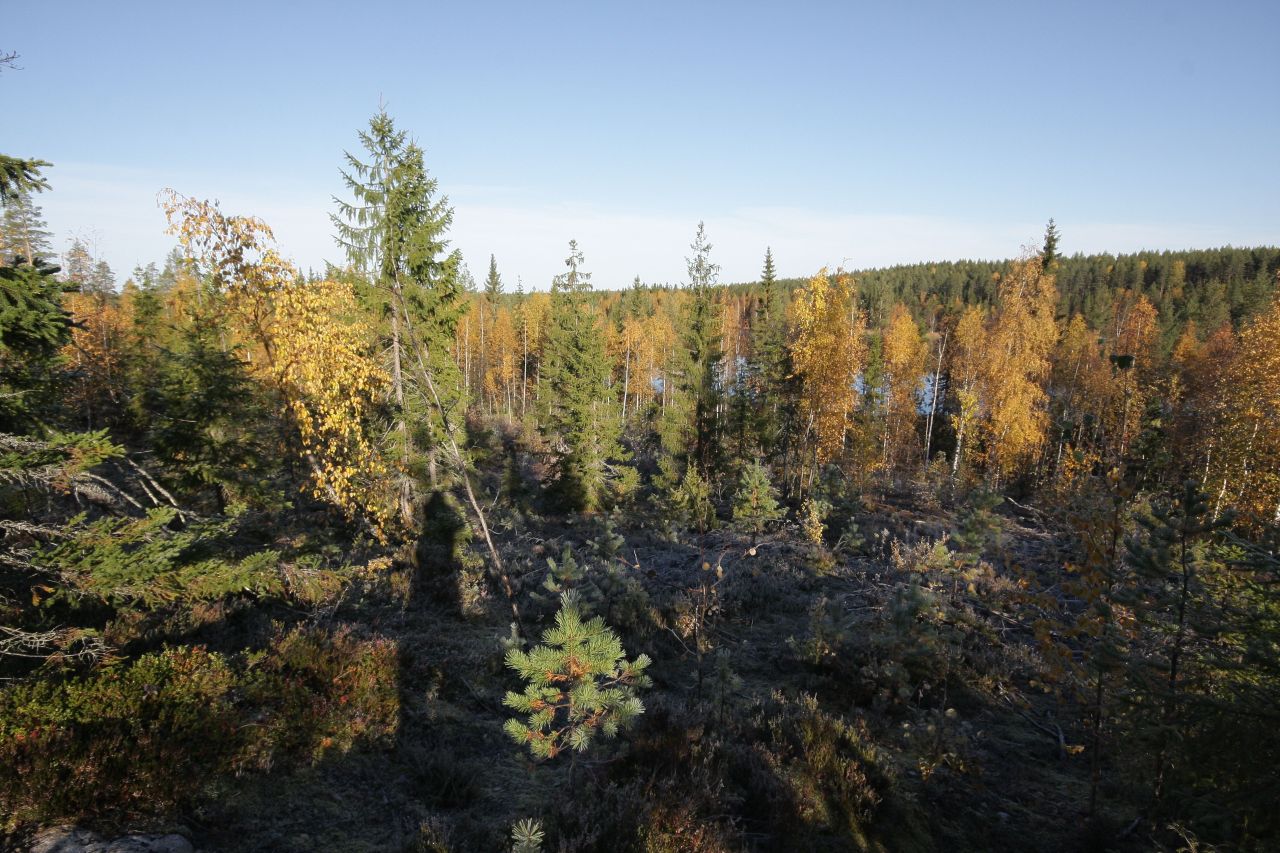 Terreno en Kuhmo, Finlandia, 1 ha - imagen 14