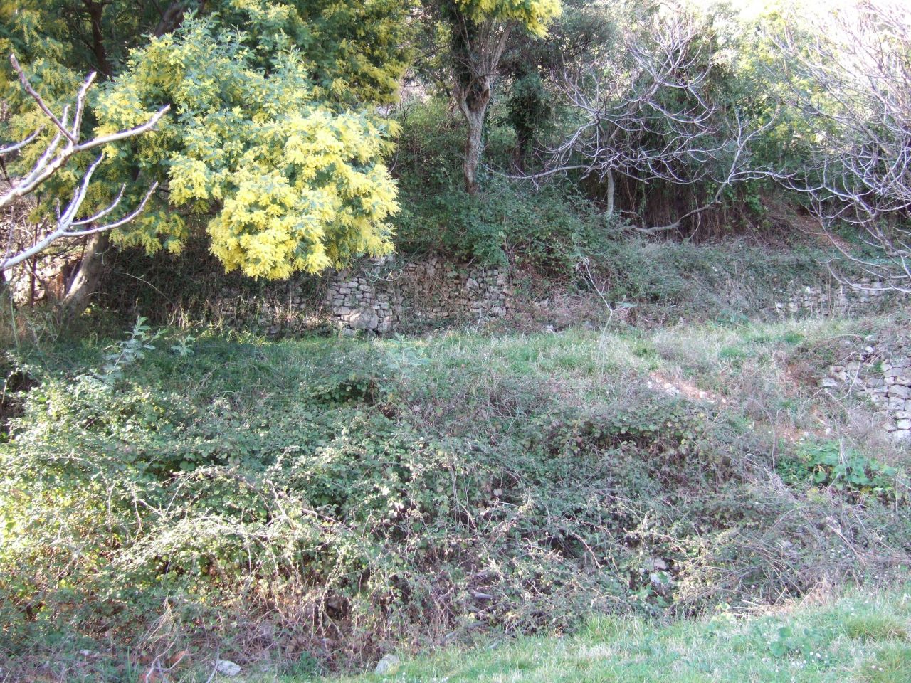 Terreno en Denovici, Montenegro, 1 200 m² - imagen 8