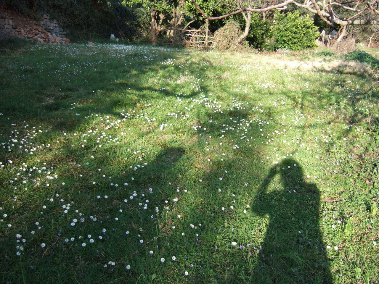 Terreno en Denovici, Montenegro, 1 200 m² - imagen 7