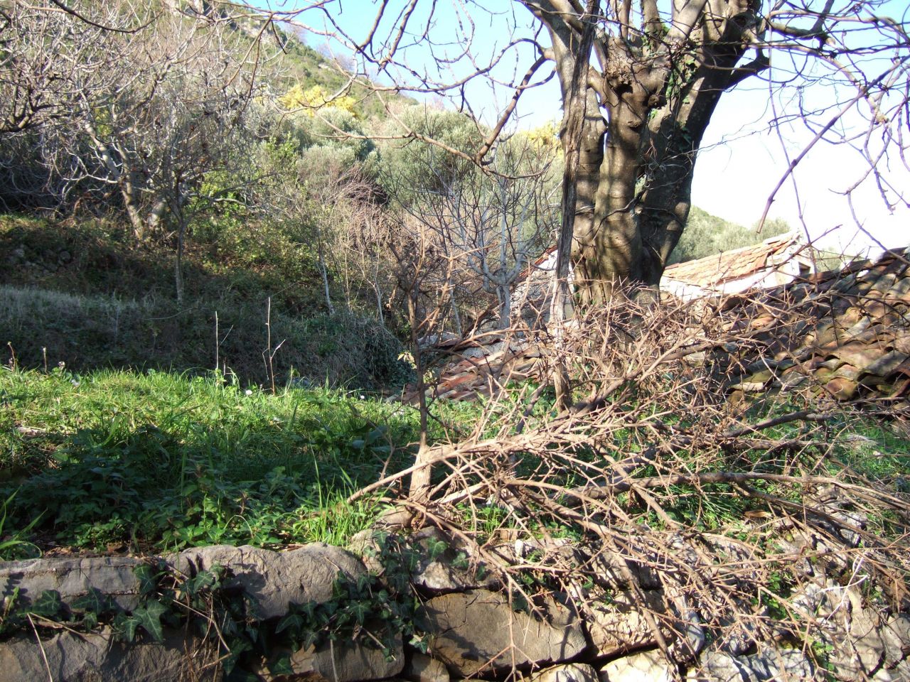 Terreno en Denovici, Montenegro, 1 200 m² - imagen 6