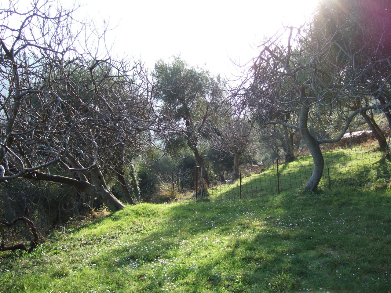 Terreno en Denovici, Montenegro, 1 200 m² - imagen 12