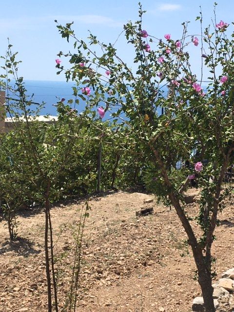 Casa a Bar, Montenegro, 100 m² - foto 10