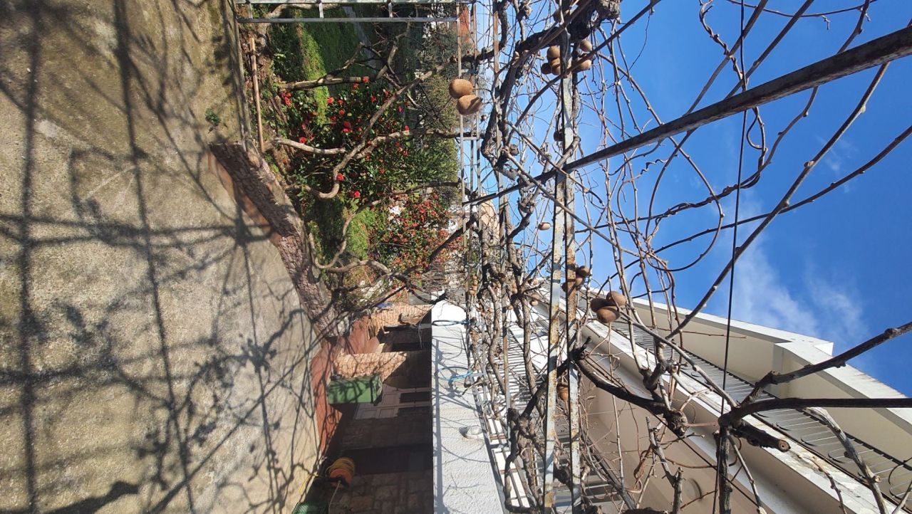 Haus in Bar, Montenegro, 245 m² - Foto 8