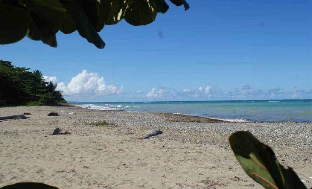 Land in Gaspar Hernandez, Dominican Republic, 4 250 m² - picture 4