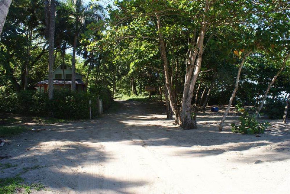 Land in Gaspar Hernandez, Dominican Republic, 4 250 m² - picture 7