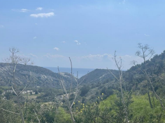 Land in Limassol, Cyprus, 12 041 m² - picture 1