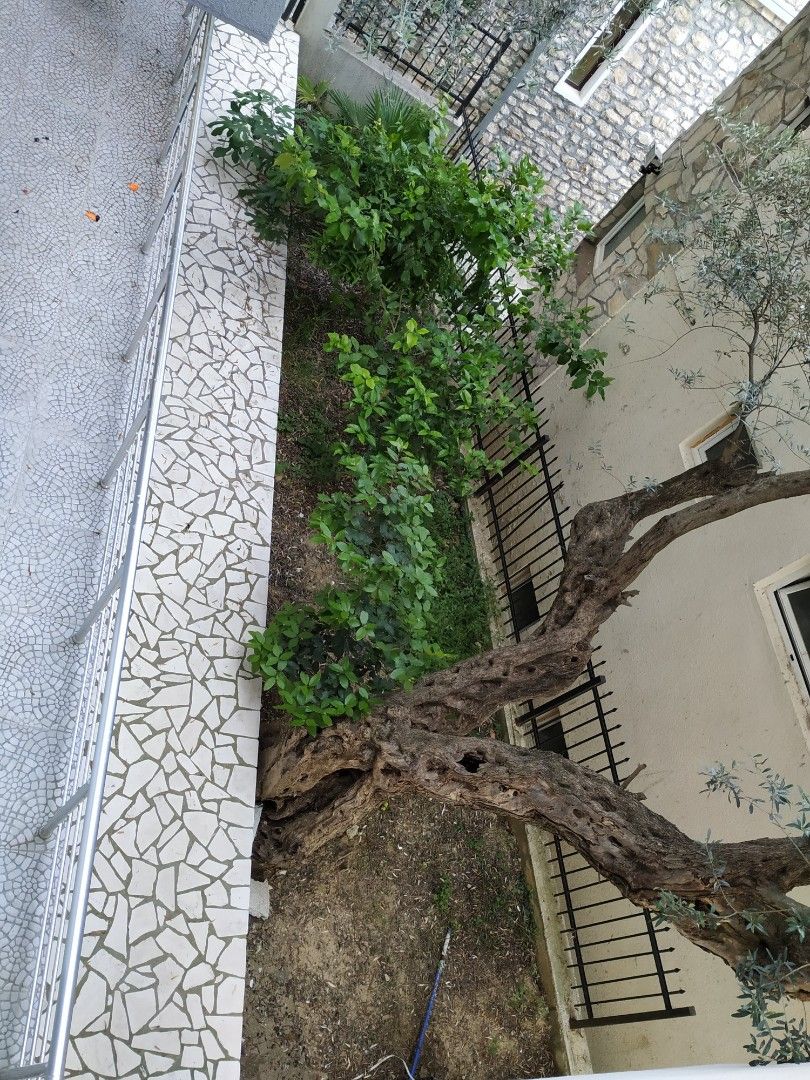 Casa a Ulcinj, Montenegro, 480 m² - foto 7