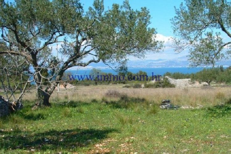 Land on Brac, Croatia, 20 000 m² - picture 1