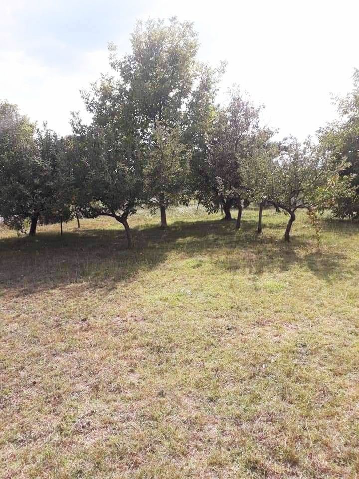 House in Danilovgrad, Montenegro, 98 m² - picture 7