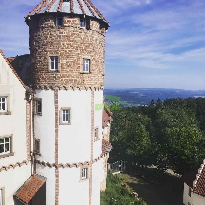 Château Rajnland-Pfalts, Allemagne, 2 800 m² - image 3