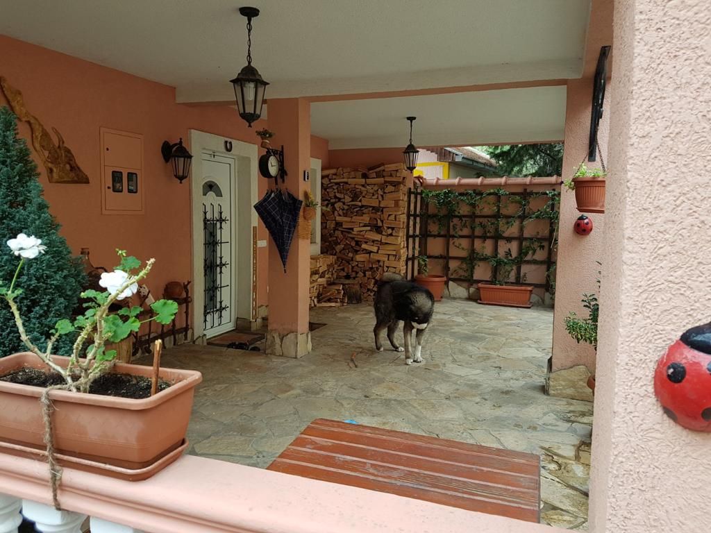 Casa a Bar, Montenegro, 238 m² - foto 12