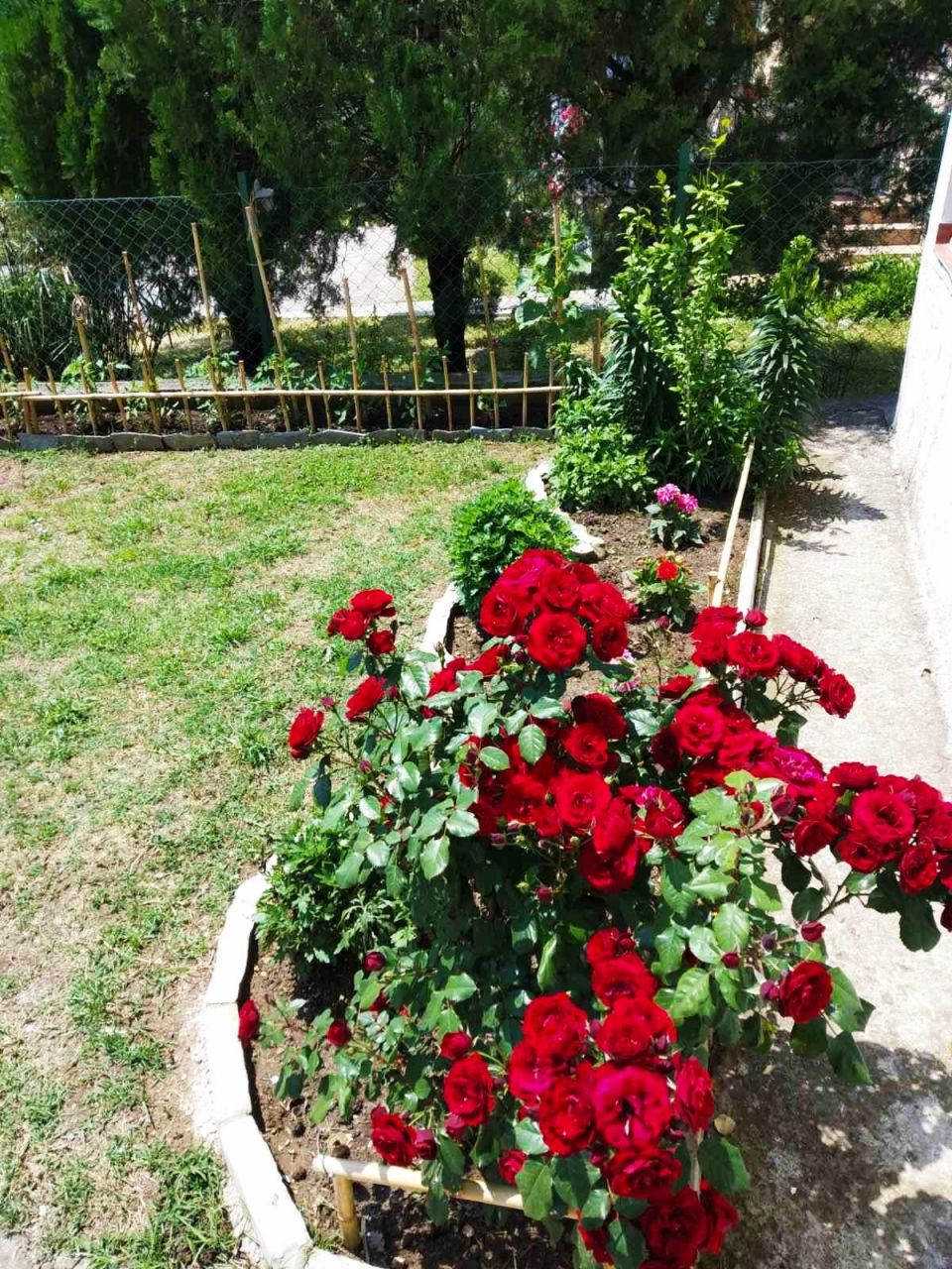 Casa en el Bar, Montenegro, 200 m² - imagen 6