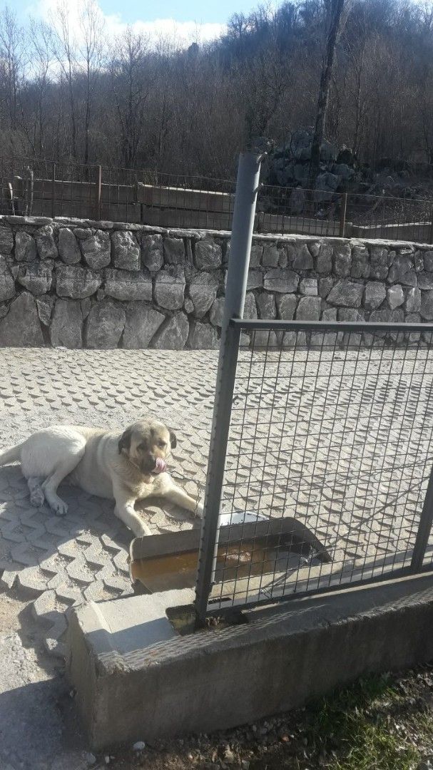 Haus in Bar, Montenegro, 250 m² - Foto 7