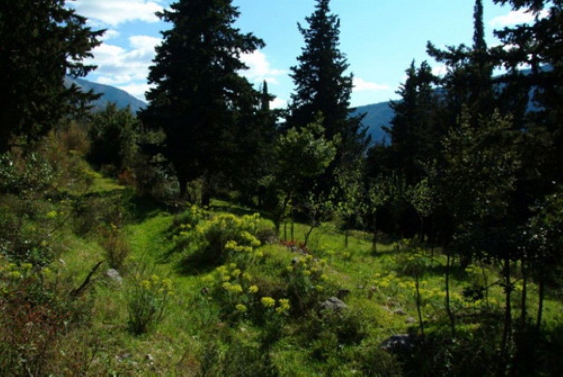 Grundstück in Dobrota, Montenegro, 1 200 m² - Foto 6