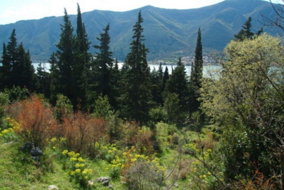 Grundstück in Dobrota, Montenegro, 1 200 m² - Foto 5