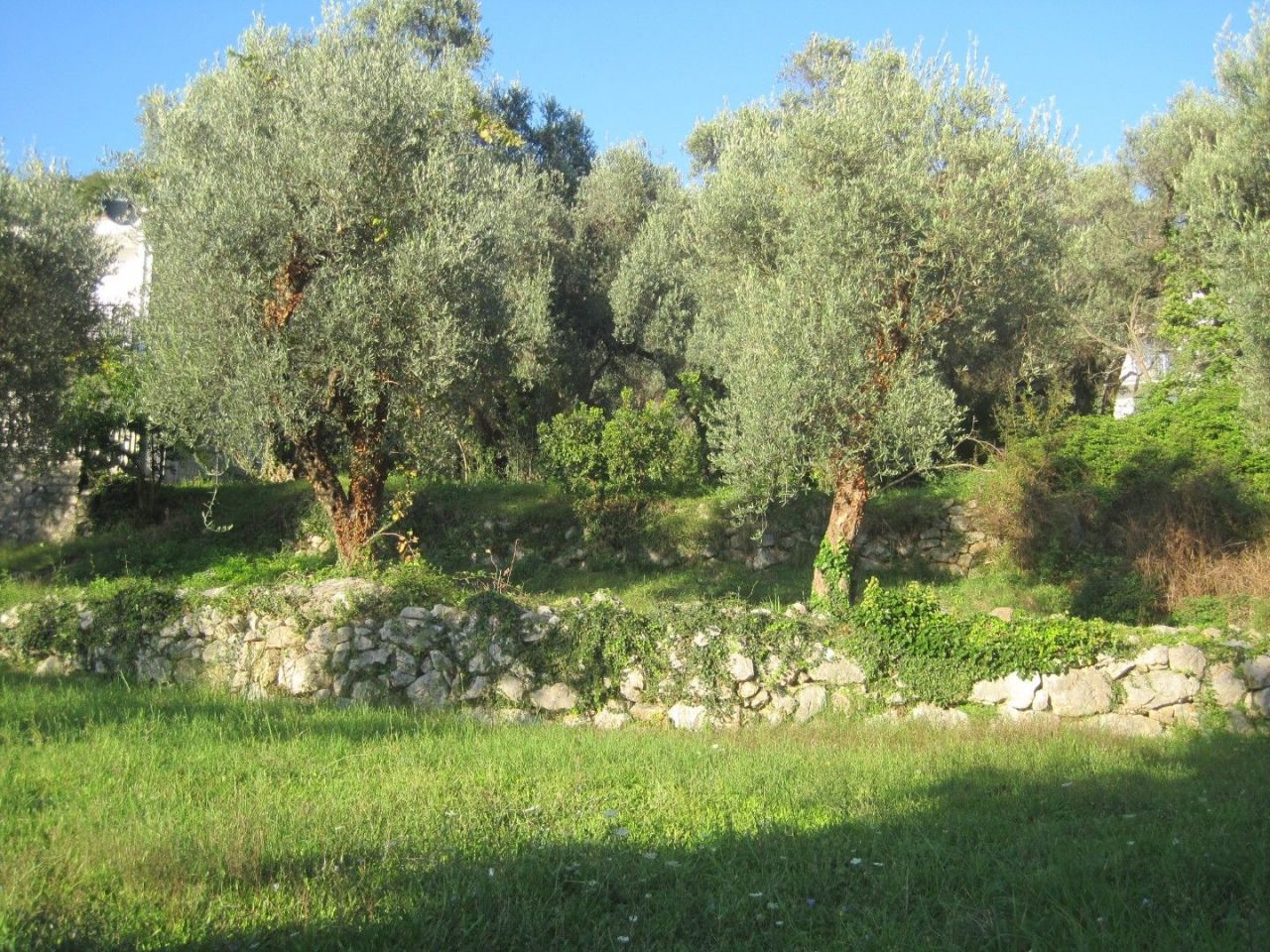 Terreno Kamenovo, Montenegro, 322 m2 - foto 3