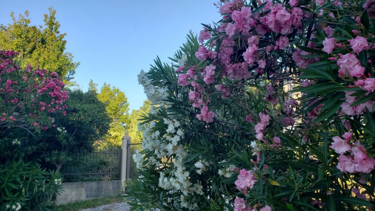 Villa a Sutomore, Montenegro, 250 m² - foto 2