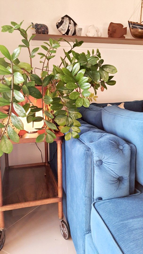 Appartamento a Bar, Montenegro, 79 m² - foto 4