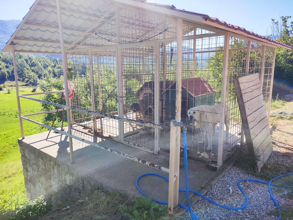 Domaine à Nikšić, Monténégro, 350 m² - image 10