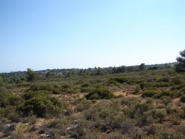 Land in Limassol, Cyprus, 79 934 m² - picture 1