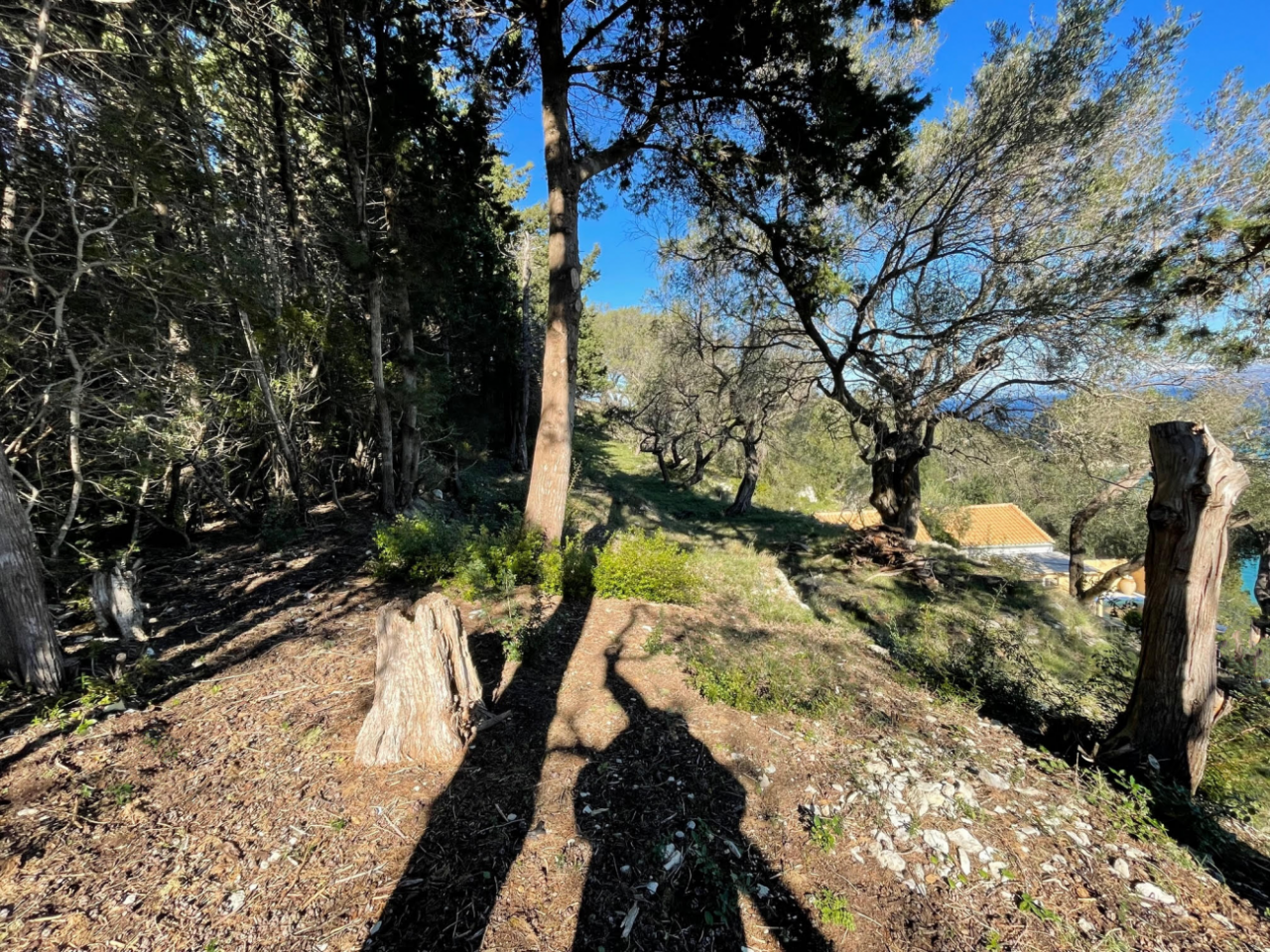 Land on Corfu, Greece, 4 025 m² - picture 2