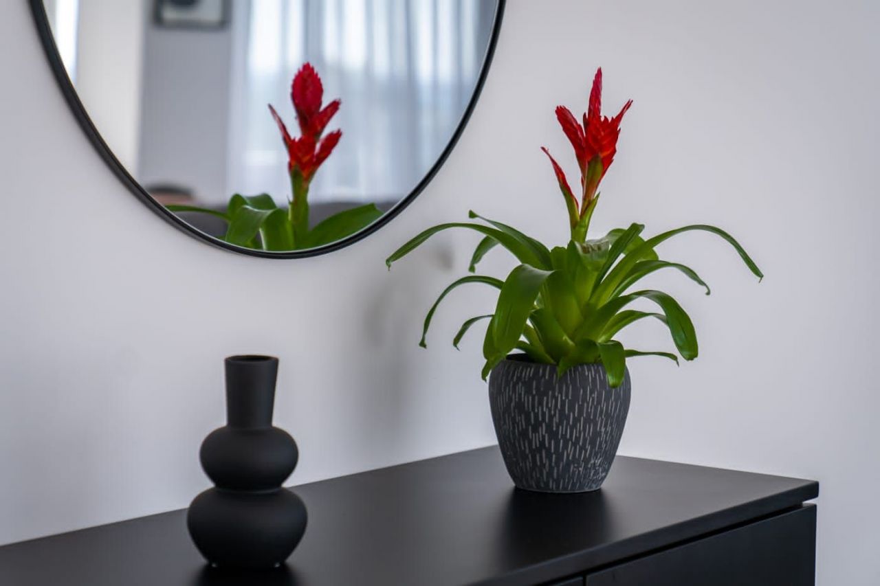 Penthouse à Paphos, Chypre, 131 m² - image 14