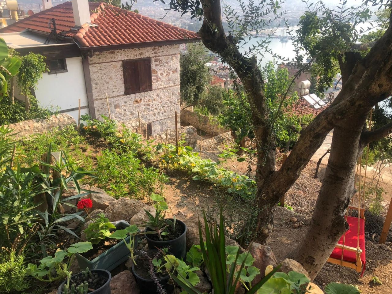 Appartamento a Alanya, Turchia, 50 m² - foto 7