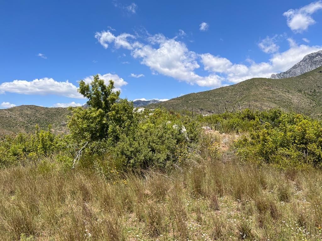 Land in Alanya, Turkey, 38 100 m² - picture 6