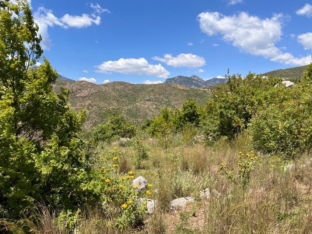 Land in Alanya, Turkey, 38 100 m² - picture 3