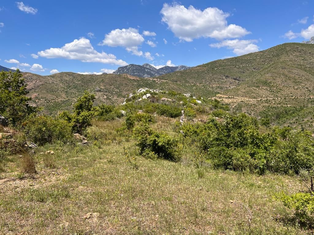 Land in Alanya, Turkey, 38 100 m² - picture 7