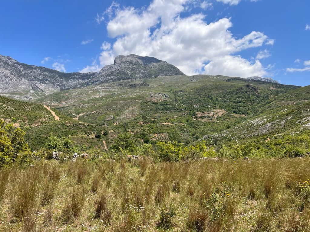 Land in Alanya, Turkey, 38 100 m² - picture 4