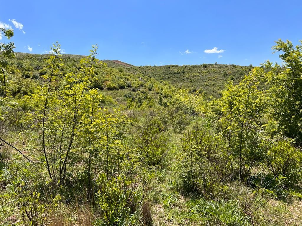 Land in Alanya, Turkey, 38 100 m² - picture 9