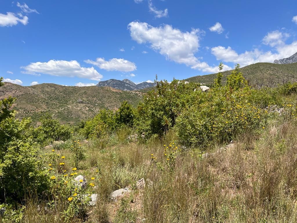 Land in Alanya, Turkey, 38 100 m² - picture 2