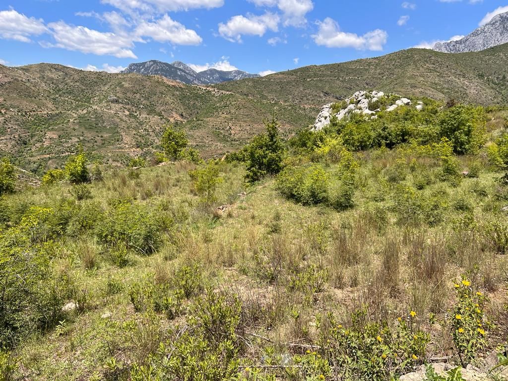 Land in Alanya, Turkey, 38 100 m² - picture 8