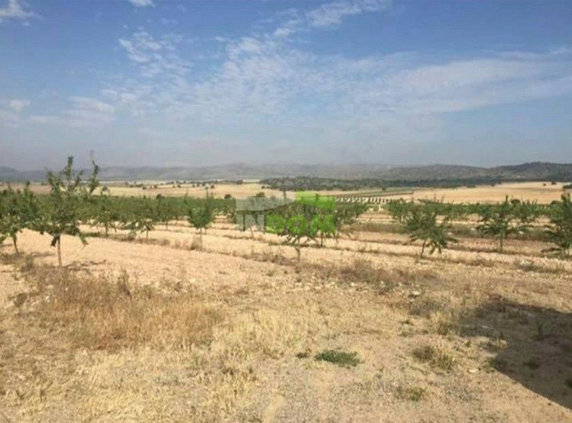 Grundstück in Costa Blanca, Spanien, 3 000 000 m² - Foto 4